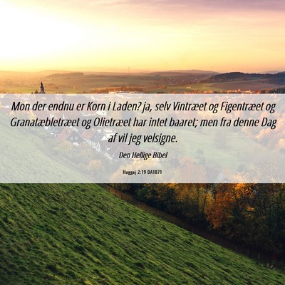 Picture 06 - Haggaj 2:19 DA1871 - Mon der endnu er Korn i Laden? ja, selv Vintræet - Bible Verse Picture