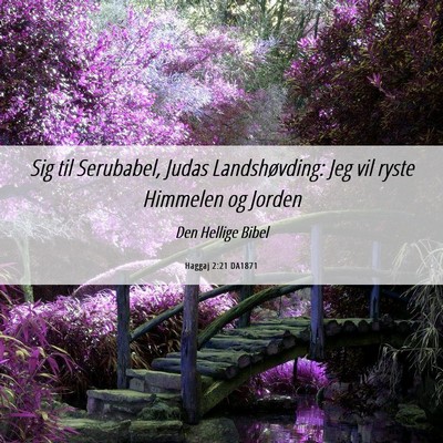 Picture 06 - Haggaj 2:21 DA1871 - Sig til Serubabel, Judas Landshøvding: Jeg vil - Bible Verse Picture