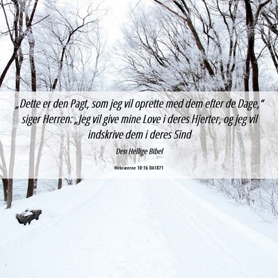 Picture 06 - Hebræerne 10:16 DA1871 - „Dette er den Pagt, som jeg vil oprette med dem - Bible Verse Picture