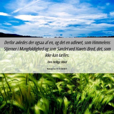 Picture 06 - Hebræerne 11:12 DA1871 - Derfor avledes der ogsaa af en, og det en - Bible Verse Picture