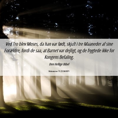 Picture 06 - Hebræerne 11:23 DA1871 - Ved Tro blev Moses, da han var født, skjult i - Bible Verse Picture