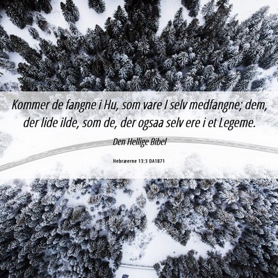 Picture 06 - Hebræerne 13:3 DA1871 - Kommer de fangne i Hu, som vare I selv medfangne; - Bible Verse Picture