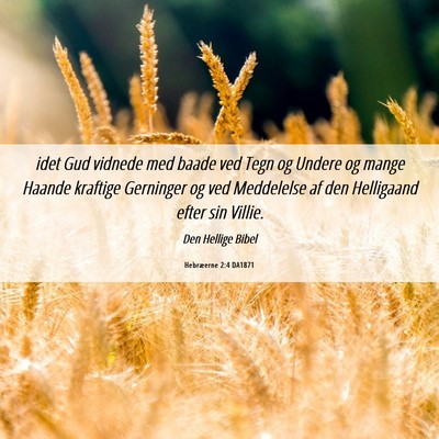 Picture 06 - Hebræerne 2:4 DA1871 - idet Gud vidnede med baade ved Tegn og Undere og - Bible Verse Picture