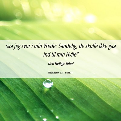 Picture 06 - Hebræerne 3:11 DA1871 - saa jeg svor i min Vrede: Sandelig, de skulle - Bible Verse Picture