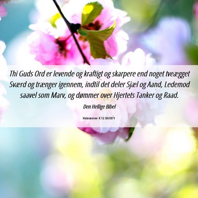 Picture 06 - Hebræerne 4:12 DA1871 - Thi Guds Ord er levende og kraftigt og skarpere - Bible Verse Picture
