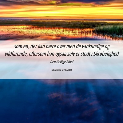 Picture 06 - Hebræerne 5:2 DA1871 - som en, der kan bære over med de vankundige og - Bible Verse Picture