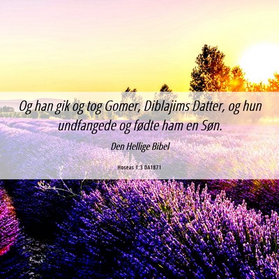 Picture 06 - Hoseas 1:3 DA1871 - Og han gik og tog Gomer, Diblajims Datter, og hun - Bible Verse Picture