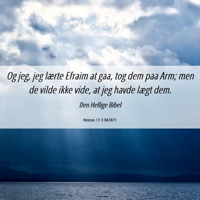 Picture 06 - Hoseas 11:3 DA1871 - Og jeg, jeg lærte Efraim at gaa, tog dem paa - Bible Verse Picture