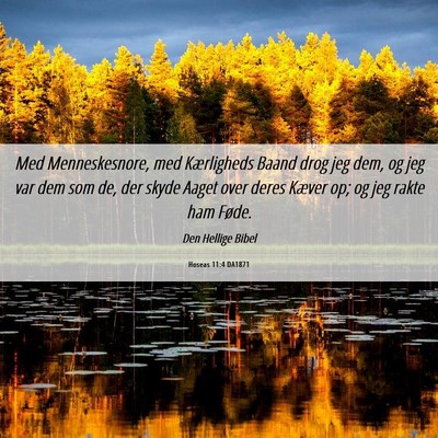 Picture 06 - Hoseas 11:4 DA1871 - Med Menneskesnore, med Kærligheds Baand drog jeg - Bible Verse Picture