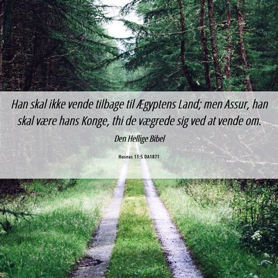 Picture 06 - Hoseas 11:5 DA1871 - Han skal ikke vende tilbage til Ægyptens Land; - Bible Verse Picture