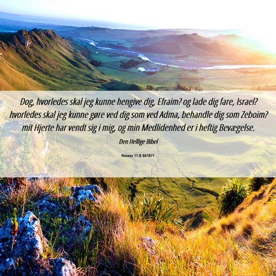 Picture 06 - Hoseas 11:8 DA1871 - Dog, hvorledes skal jeg kunne hengive dig, - Bible Verse Picture