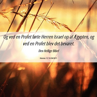 Picture 06 - Hoseas 12:14 DA1871 - Og ved en Profet førte Herren Israel op af - Bible Verse Picture