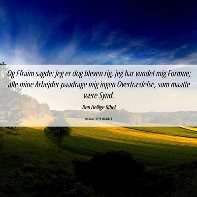 Picture 06 - Hoseas 12:9 DA1871 - Og Efraim sagde: Jeg er dog bleven rig, jeg har - Bible Verse Picture