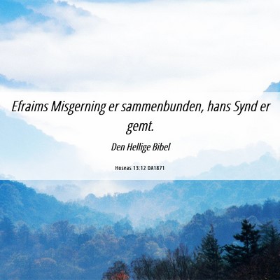 Picture 06 - Hoseas 13:12 DA1871 - Efraims Misgerning er sammenbunden, hans Synd er - Bible Verse Picture