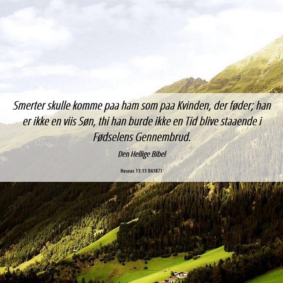 Picture 06 - Hoseas 13:13 DA1871 - Smerter skulle komme paa ham som paa Kvinden, der - Bible Verse Picture