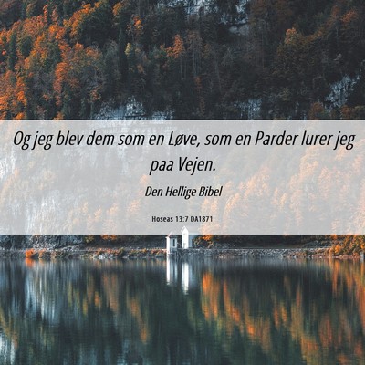 Picture 06 - Hoseas 13:7 DA1871 - Og jeg blev dem som en Løve, som en Parder lurer - Bible Verse Picture