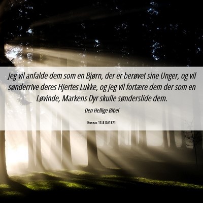 Picture 06 - Hoseas 13:8 DA1871 - Jeg vil anfalde dem som en Bjørn, der er - Bible Verse Picture