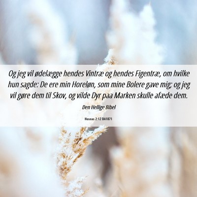 Picture 06 - Hoseas 2:12 DA1871 - Og jeg vil ødelægge hendes Vintræ og hendes - Bible Verse Picture