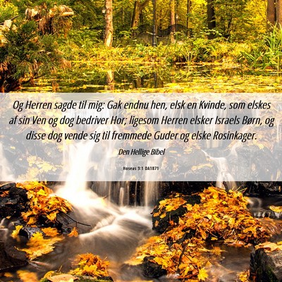 Picture 06 - Hoseas 3:1 DA1871 - Og Herren sagde til mig: Gak endnu hen, elsk en - Bible Verse Picture