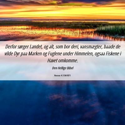 Picture 06 - Hoseas 4:3 DA1871 - Derfor sørger Landet, og alt, som bor deri, - Bible Verse Picture