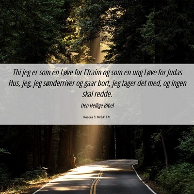 Picture 06 - Hoseas 5:14 DA1871 - Thi jeg er som en Løve for Efraim og som en ung - Bible Verse Picture