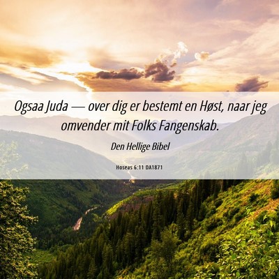 Picture 06 - Hoseas 6:11 DA1871 - Ogsaa Juda — over dig er bestemt en Høst, naar - Bible Verse Picture