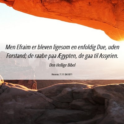 Picture 06 - Hoseas 7:11 DA1871 - Men Efraim er bleven ligesom en enfoldig Due, - Bible Verse Picture