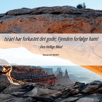 Picture 06 - Hoseas 8:3 DA1871 - Israel har forkastet det gode; Fjenden forfølge - Bible Verse Picture