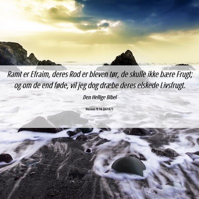 Picture 06 - Hoseas 9:16 DA1871 - Ramt er Efraim, deres Rod er bleven tør, de - Bible Verse Picture