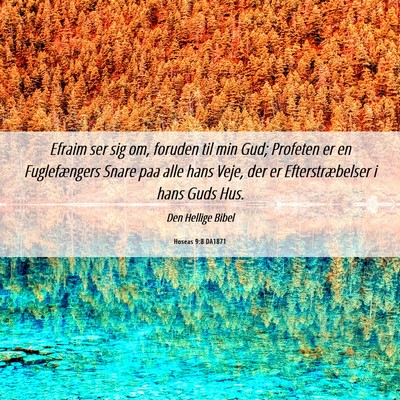 Picture 06 - Hoseas 9:8 DA1871 - Efraim ser sig om, foruden til min Gud; Profeten - Bible Verse Picture