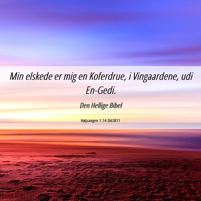 Picture 06 - Højsangen 1:14 DA1871 - Min elskede er mig en Koferdrue, i Vingaardene, - Bible Verse Picture