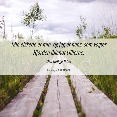 Picture 06 - Højsangen 2:16 DA1871 - Min elskede er min, og jeg er hans, som vogter - Bible Verse Picture