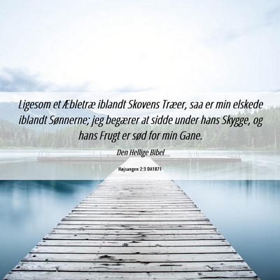 Picture 06 - Højsangen 2:3 DA1871 - Ligesom et Æbletræ iblandt Skovens Træer, saa - Bible Verse Picture