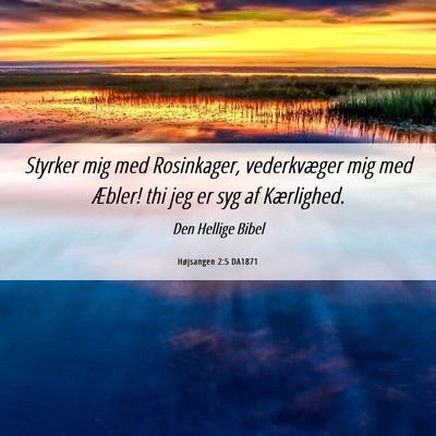 Picture 06 - Højsangen 2:5 DA1871 - Styrker mig med Rosinkager, vederkvæger mig med - Bible Verse Picture