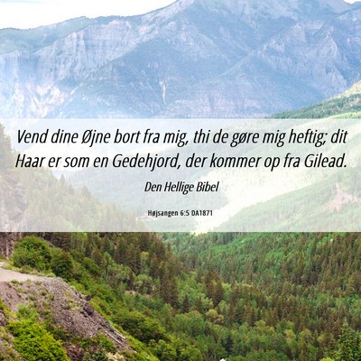 Picture 06 - Højsangen 6:5 DA1871 - Vend dine Øjne bort fra mig, thi de gøre mig - Bible Verse Picture