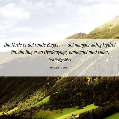 Picture 06 - Højsangen 7:2 DA1871 - Din Navle er det runde Bæger, — det mangler - Bible Verse Picture