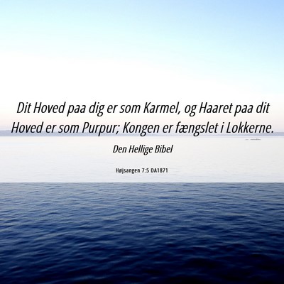 Picture 06 - Højsangen 7:5 DA1871 - Dit Hoved paa dig er som Karmel, og Haaret paa - Bible Verse Picture