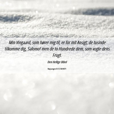 Picture 06 - Højsangen 8:12 DA1871 - Min Vingaard, som hører mig til, er for mit - Bible Verse Picture