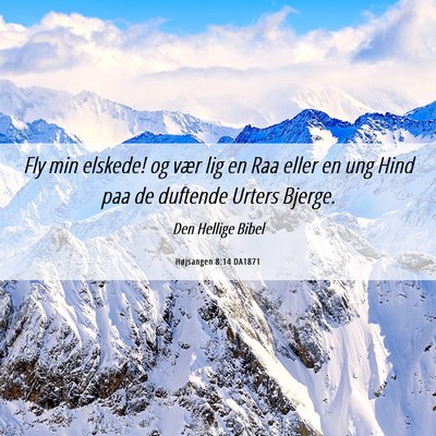 Picture 06 - Højsangen 8:14 DA1871 - Fly min elskede! og vær lig en Raa eller en ung - Bible Verse Picture