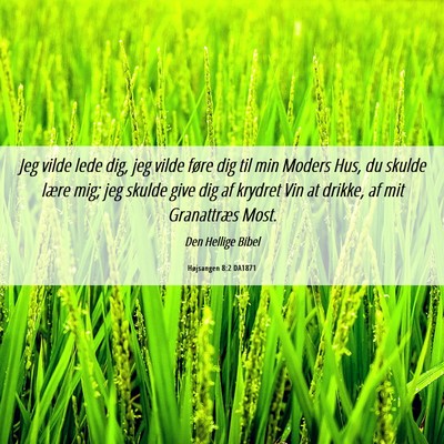 Picture 06 - Højsangen 8:2 DA1871 - Jeg vilde lede dig, jeg vilde føre dig til min - Bible Verse Picture