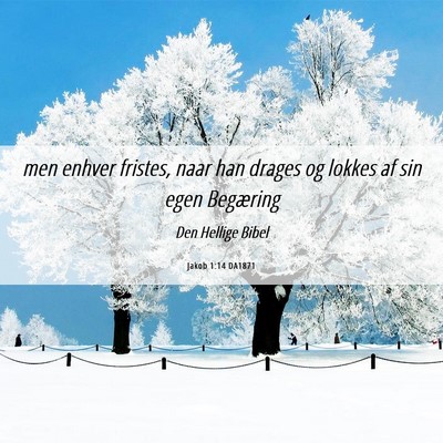 Picture 06 - Jakob 1:14 DA1871 - men enhver fristes, naar han drages og lokkes af - Bible Verse Picture
