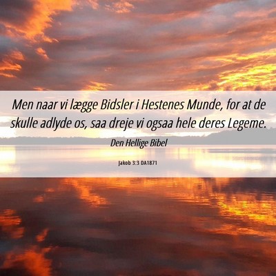 Picture 06 - Jakob 3:3 DA1871 - Men naar vi lægge Bidsler i Hestenes Munde, for - Bible Verse Picture