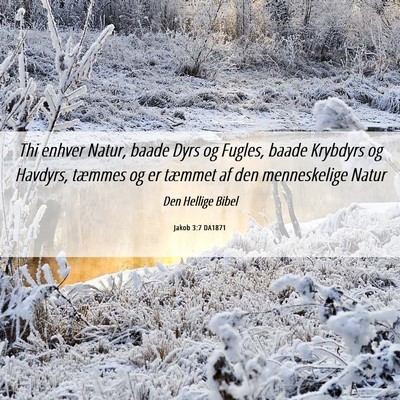 Picture 06 - Jakob 3:7 DA1871 - Thi enhver Natur, baade Dyrs og Fugles, baade - Bible Verse Picture