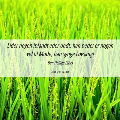 Picture 06 - Jakob 5:13 DA1871 - Lider nogen iblandt eder ondt, han bede; er nogen - Bible Verse Picture