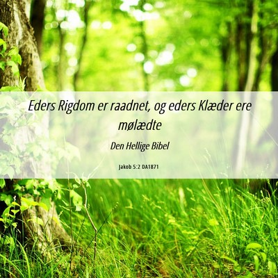 Picture 06 - Jakob 5:2 DA1871 - Eders Rigdom er raadnet, og eders Klæder ere - Bible Verse Picture
