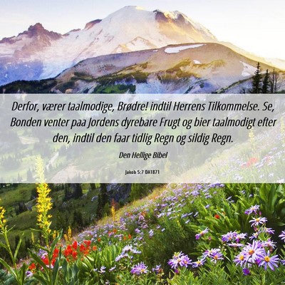 Picture 06 - Jakob 5:7 DA1871 - Derfor, værer taalmodige, Brødre! indtil - Bible Verse Picture