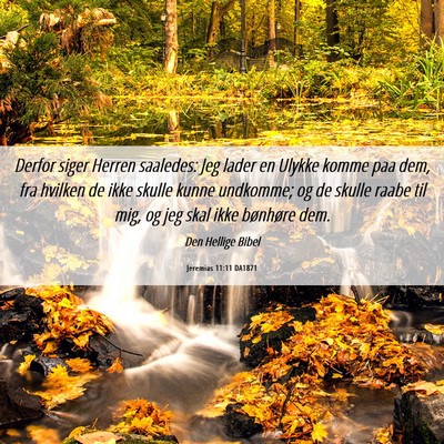 Picture 06 - Jeremias 11:11 DA1871 - Derfor siger Herren saaledes: Jeg lader en Ulykke - Bible Verse Picture