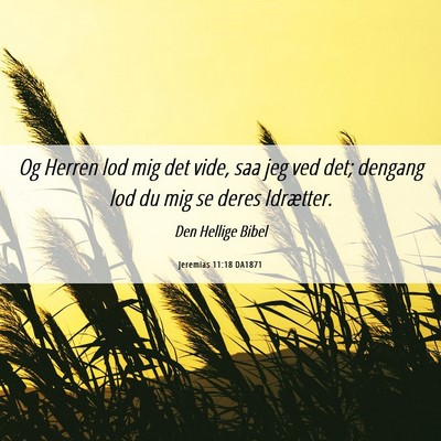 Picture 06 - Jeremias 11:18 DA1871 - Og Herren lod mig det vide, saa jeg ved det; - Bible Verse Picture