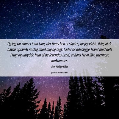 Picture 06 - Jeremias 11:19 DA1871 - Og jeg var som et tamt Lam, der føres hen at - Bible Verse Picture