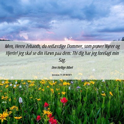 Picture 06 - Jeremias 11:20 DA1871 - Men, Herre Zebaoth, du retfærdige Dommer, som - Bible Verse Picture